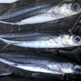 Flying Fish Bulk Buy 30 flyers