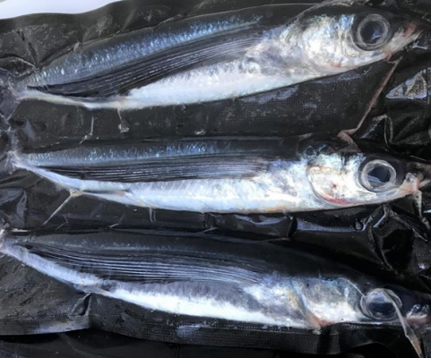 Flying Fish Bulk Buy 30 flyers